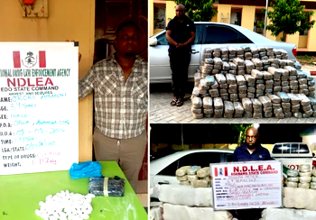NDLEA nabs cocaine syndicates, recovers multi-billion-naira drugs in nationwide raids
