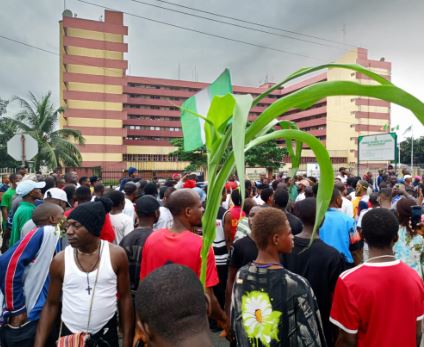 Day 3 Live Updates: Stop killing protesters or we step in, NLC cautions Police