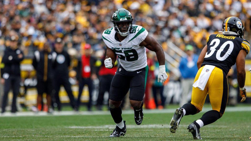 Top 5 highest-paying sports in the world - Vanguard News