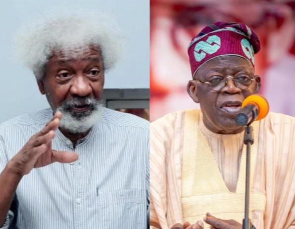 Soyinka Calls Out Tinubu for Failing to Address Police Brutality in Protest Speech