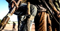 Peace Accord: Bandits protecting Katsina community from external attacks