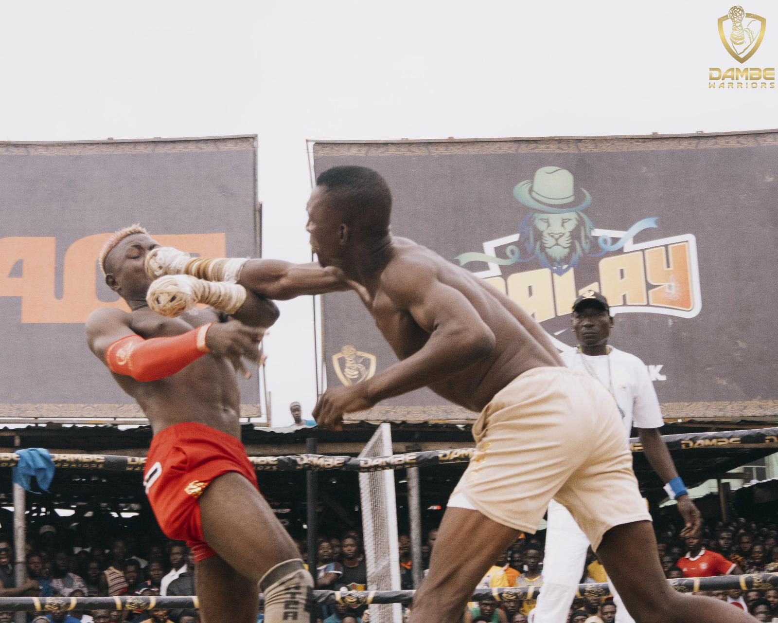 Dambe Warriors League Circuit Fight 15 ends with a flourish in Lagos