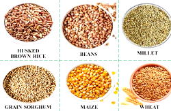 Why grains importation won’t happen soon – Stakeholders