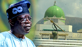 Unprecedented takeover: Dynamics, implications of APC’s dominance of NASS