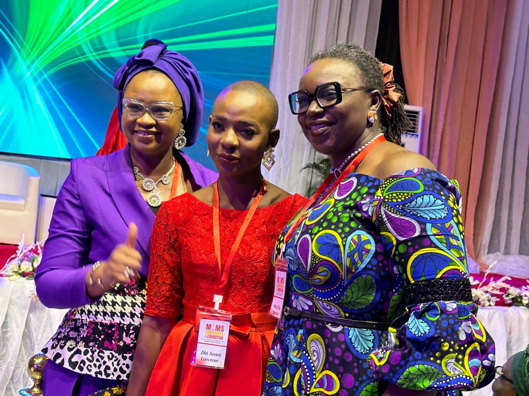 Motherhood not barrier, pursue your professional passions – Experts tell Nigerian women