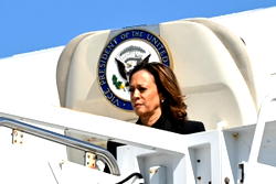 Trump calls to probe Kamala Harris celebrity endorsements