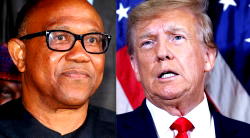 Peter Obi is Nigerian version of Donald Trump – Presidency