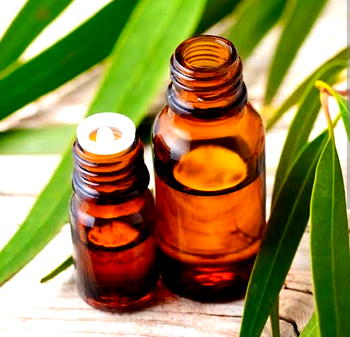 10 best essential oils and their common uses