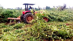 WaleAgro Services making farmland available and affordable to Nigerians