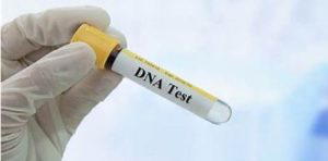 Paternity dispute: Court stops police from tendering DNA test result ...