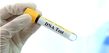Paternity uncertainty remains high – DNA Testing report