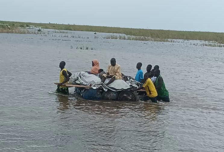 Borno Flood: Decomposed bodies recovered, others missing in Mafa/Dikwa – Report