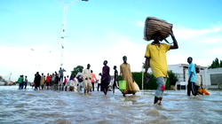 Impending flood disaster: Panic, fear paralyse littoral states as release of water from Lagdo Dam begins