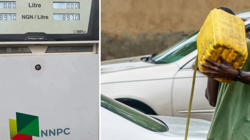 pump price of petrol