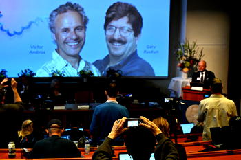 US scientists win Nobel prize for genes regulation breakthrough