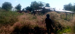Bandits are rulers, judges in Sokoto communities, LG chair tells Defence Minister