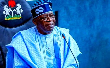 Nigerian newspapers review: Experts warn of dangers as Tinubu jerks up 2025 budget to N54.2trn