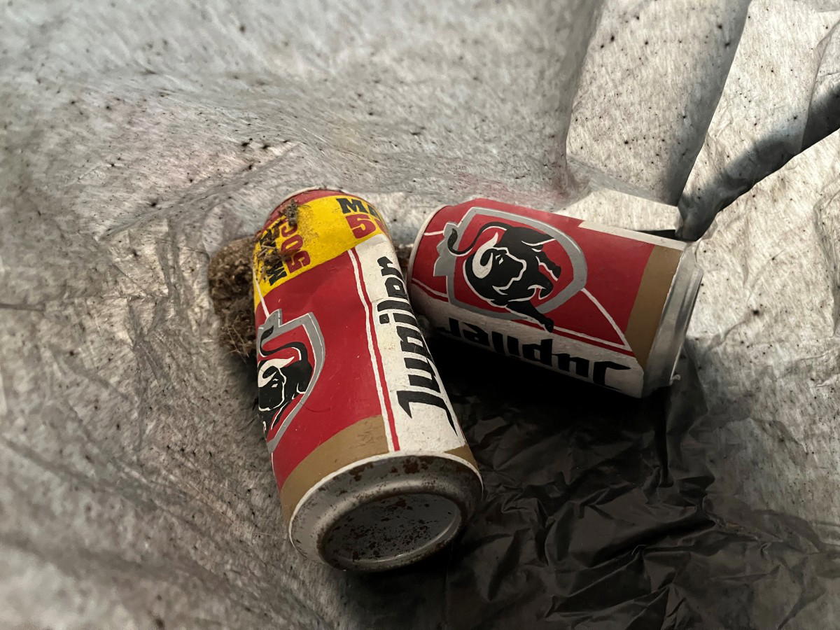 Trash art: Dutch museum finds ‘beer can’ artwork in bin