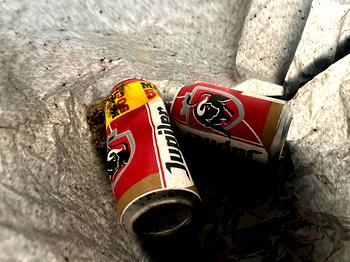 Trash art: Dutch museum finds ‘beer can’ artwork in bin