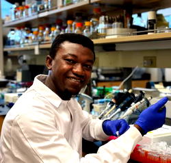 Abayomi Adegboyega pioneers research on African medicinal plants and synthetic compounds against COVID-19