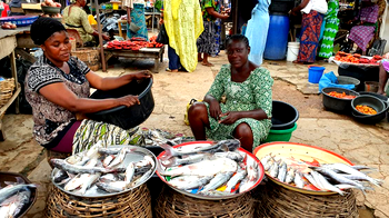 Of food fairs and national food security