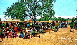 IDPs to FG: ‘If you can’t take us home, say it; stop pretending’