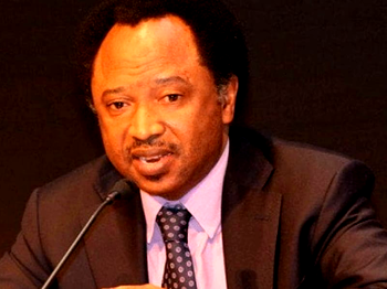 Banditry: Criticism of Matawalle, Ribadu unnecessary distractions – Shehu Sani