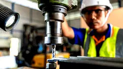 Japa: 15 professions in Germany that can get you a work visa