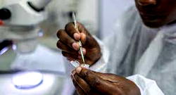 Egypt joins list of countries certified by WHO as malaria-free [See Full List]