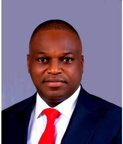 Enugu Council chairman constitutes health committee, floats freeMed platform