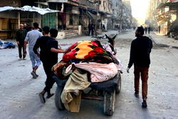 Pope calls for investigation into Gaza ‘genocide’