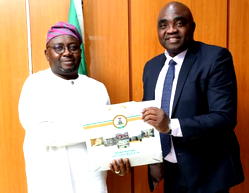$10bn investment needs in Power: FG to deploy PPP to bridge gap