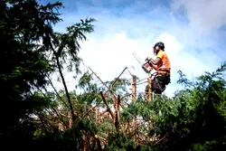 Top 10 most dangerous jobs in the UK