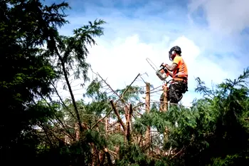Top 10 most dangerous jobs in the UK