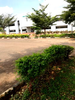 Federal High Court Awka closed over Simon Ekpa threat; litigants protest