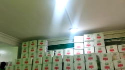 Group to support vulnerable Lagos households with 25,000 meals