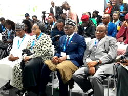COP29: Nigeria increasingly vulnerable to impacts of climate change – Momoh