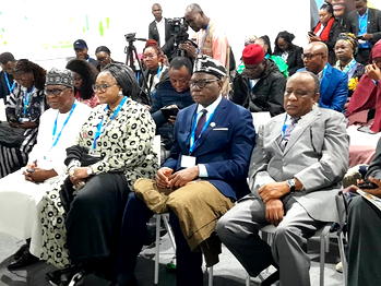 COP29: Nigeria increasingly vulnerable to impacts of climate change – Momoh