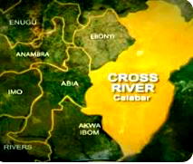 Nigeria losing billions of dollars to illegal logging in Cross River – Environmentalists