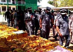 Yola: Customs orders sale of smuggled PMS at subsidised rate