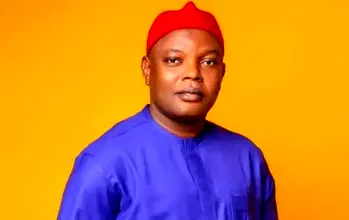 SSAs on garden egg, yam, pepper will boost export – Enugu LG chairman