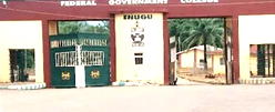 Inside FGC Enugu: The bullies, the rot
