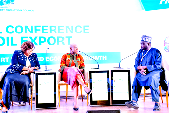 Erewa-Meggison proffers strategies to enhance Nigerian non-oil exports in global markets  