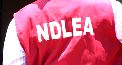 Bizman slams N50m suit on NDLEA over illegal detention