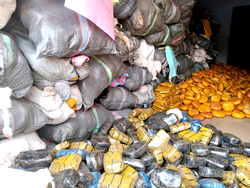Ogun Customs intercepts cannabis sativa, illicit drug worth N117.6m