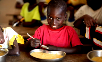 Top 5 African countries with the lowest hunger level
