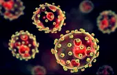 Lassa Fever claims 118 lives in Q1 2025 – NCDC