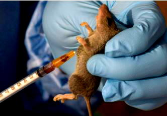 NCDC reports 142 deaths, 747 confirmed cases of Lassa fever in 18 states