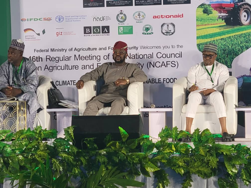 Agric sector, essential to Nigeria’s economic recovery, stability – Fashedemi