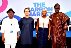 Sustainable Devt: Private sector leaders drive Africa’s carbon market revolution